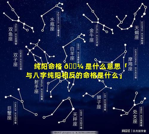 纯阳命格 🌾 是什么意思「与八字纯阳相反的命格是什么」